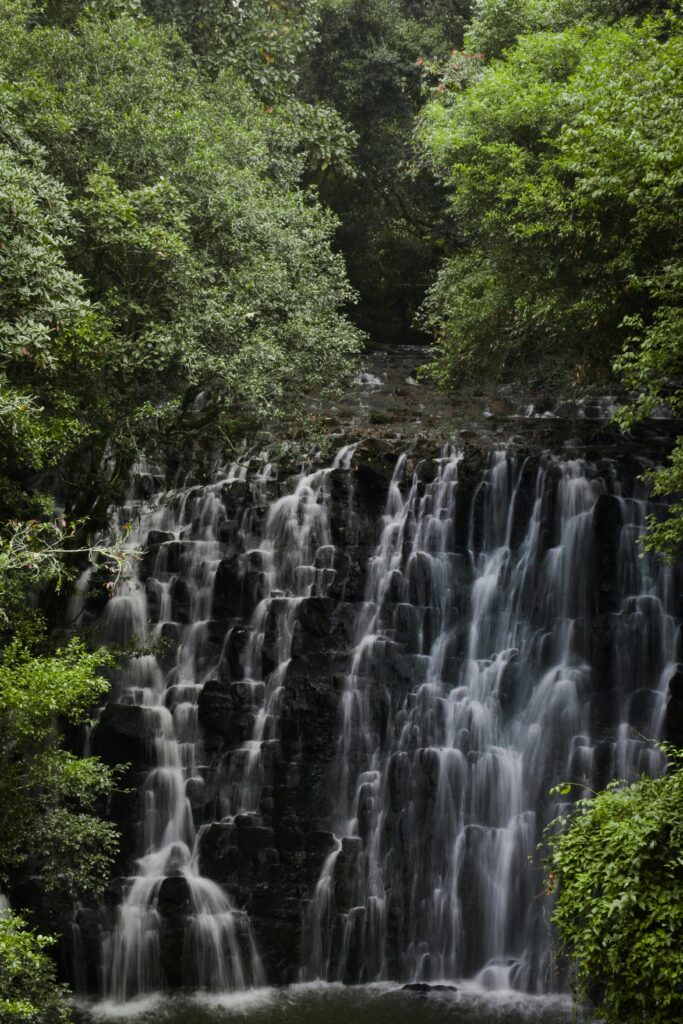 Meghalaya – Shillong – Cherrapunjee - 5 Days 1 pexels sratk07 10029347