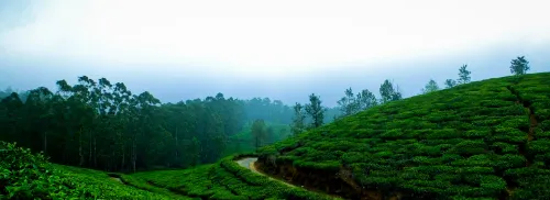 Kerala Family Tour Packages