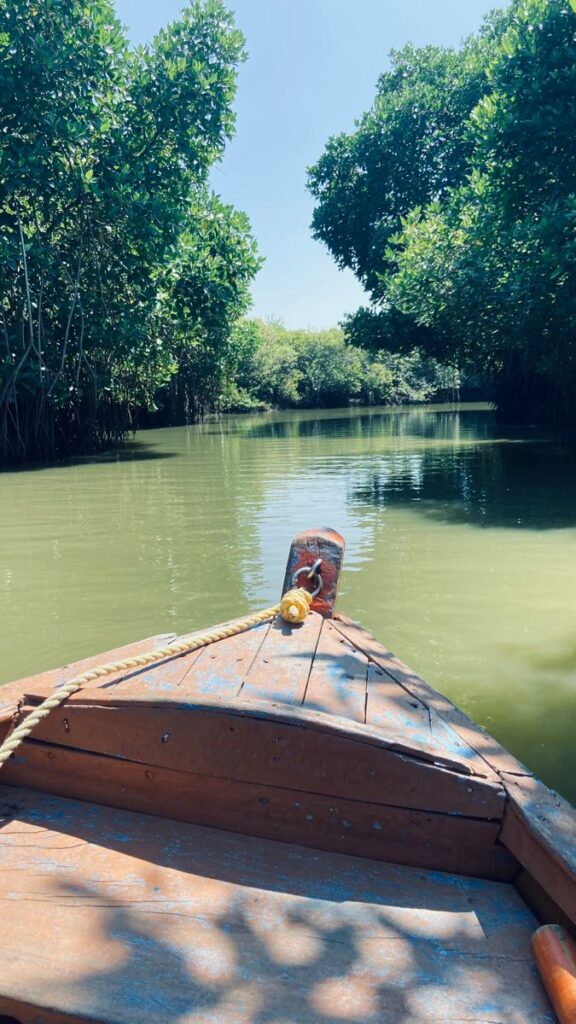 top international tourist packages